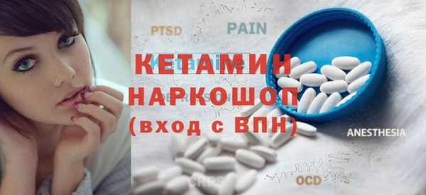 индика Няндома