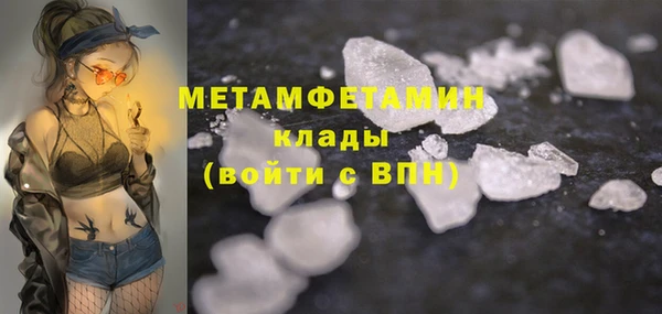 твердый Туринск
