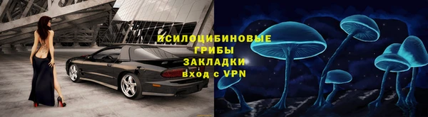индика Няндома
