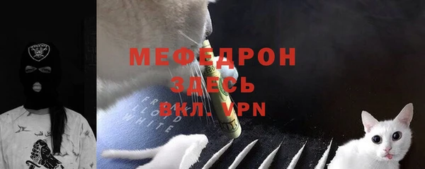 твердый Туринск