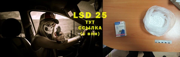 индика Няндома