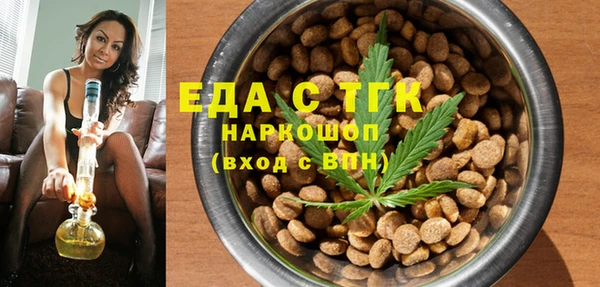 индика Няндома