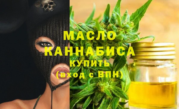 индика Няндома