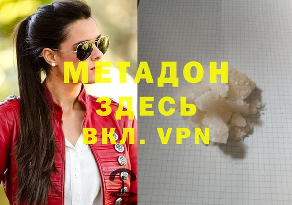 индика Няндома