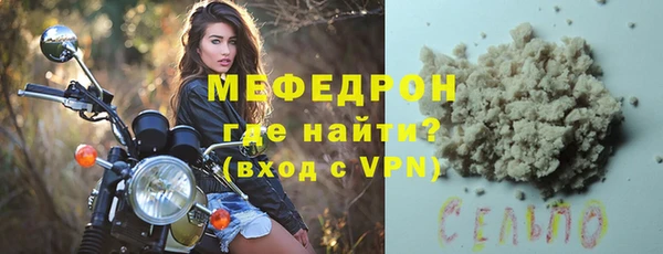 индика Няндома