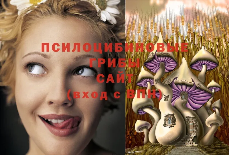 omg рабочий сайт  Унеча  Галлюциногенные грибы Cubensis 