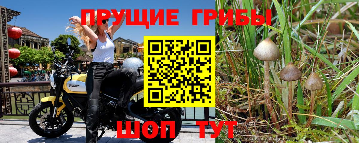 ГАШИШ Унеча