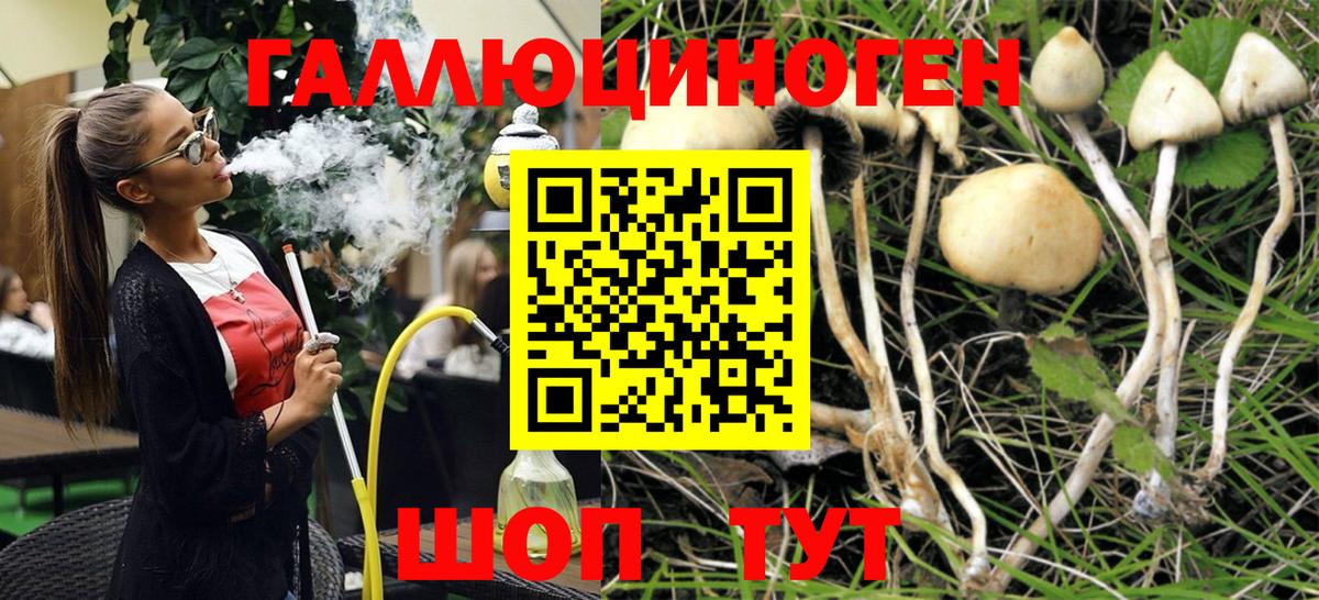 Псилоцибиновые грибы MAGIC MUSHROOMS Унеча